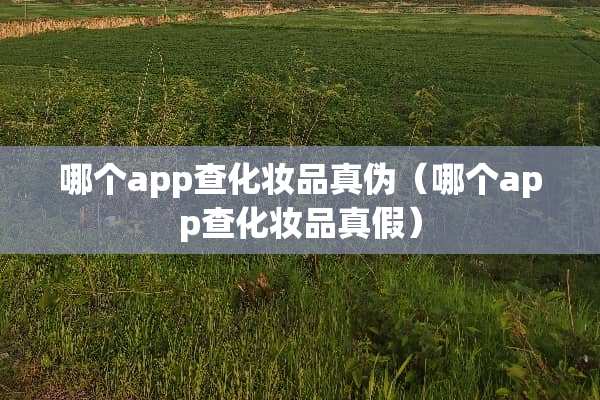 哪个app查化妆品真伪（哪个app查化妆品真假）