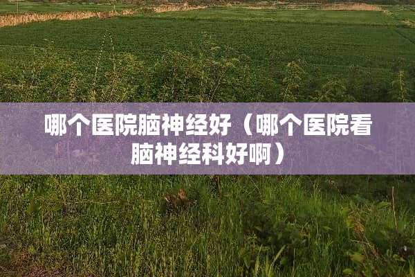 哪个医院脑神经好（哪个医院看脑神经科好啊）