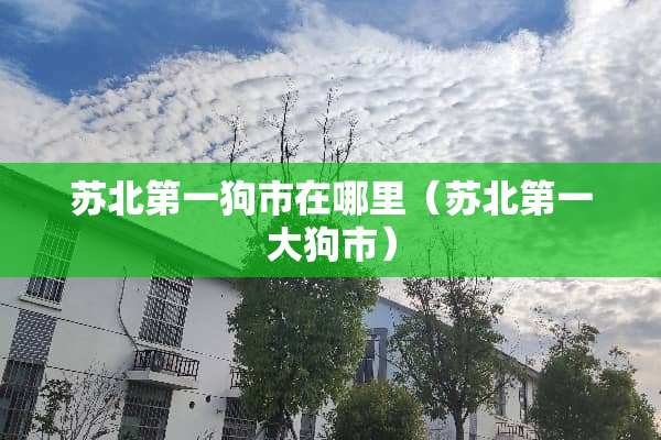 苏北第一狗市在哪里（苏北第一大狗市）
