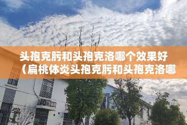 头孢克肟和头孢克洛哪个效果好（扁桃体炎头孢克肟和头孢克洛哪个效果好）