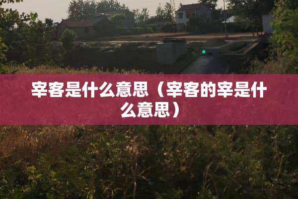 宰客是什么意思（宰客的宰是什么意思）