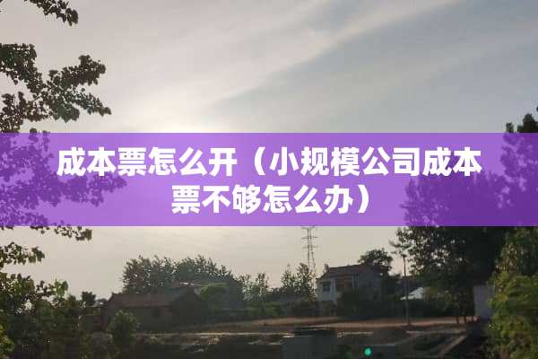 成本票怎么开（小规模公司成本票不够怎么办）