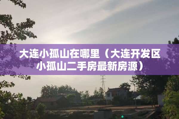 大连小孤山在哪里（大连开发区小孤山二手房最新房源）