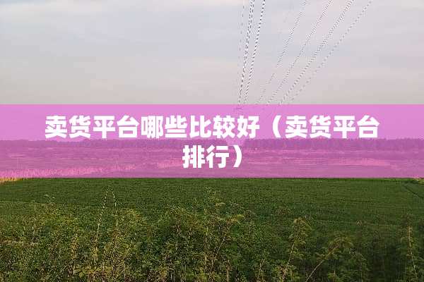 卖货平台哪些比较好（卖货平台排行）