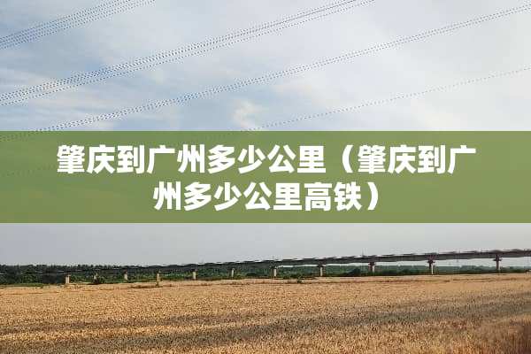 肇庆到广州多少公里（肇庆到广州多少公里高铁）