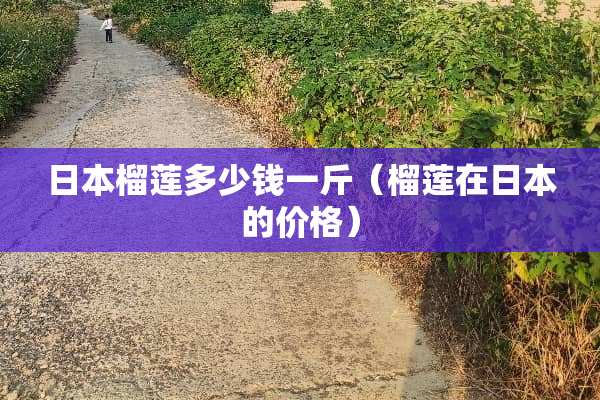 日本榴莲多少钱一斤（榴莲在日本的价格）