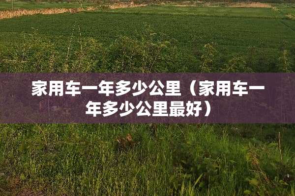 家用车一年多少公里（家用车一年多少公里最好）