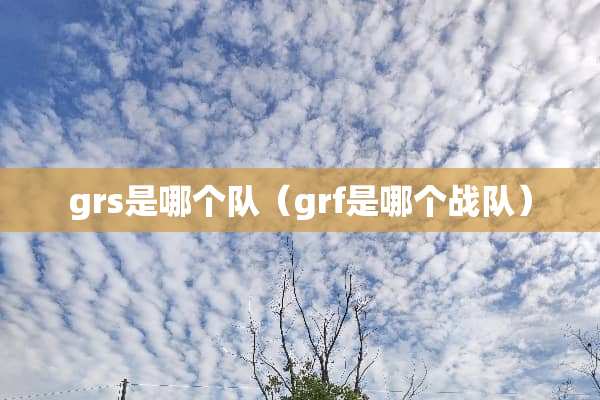 grs是哪个队（grf是哪个战队）