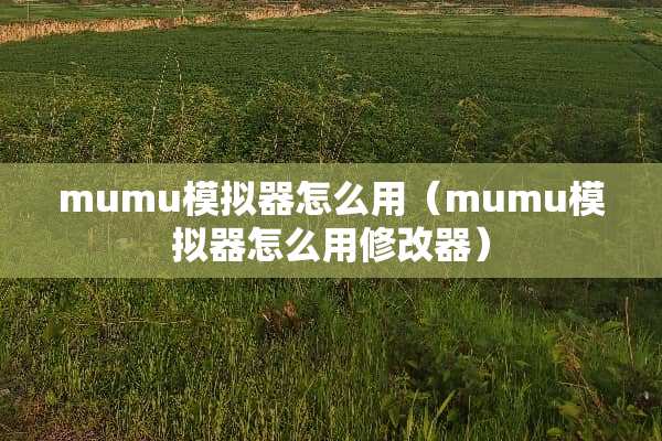 mumu模拟器怎么用（mumu模拟器怎么用修改器）