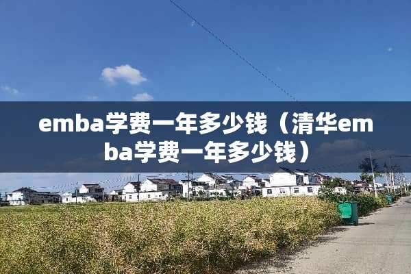 emba学费一年多少钱（清华emba学费一年多少钱）
