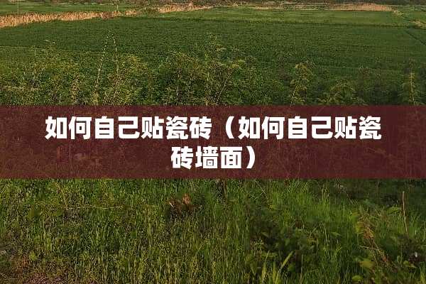 如何自己贴瓷砖（如何自己贴瓷砖墙面）