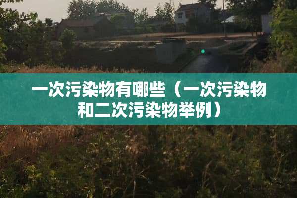 一次污染物有哪些（一次污染物和二次污染物举例）