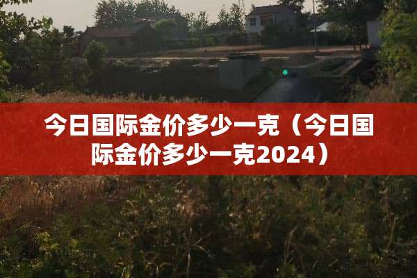 今日国际金价多少一克（今日国际金价多少一克2024）