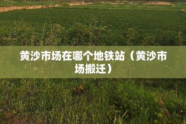 黄沙市场在哪个地铁站（黄沙市场搬迁）