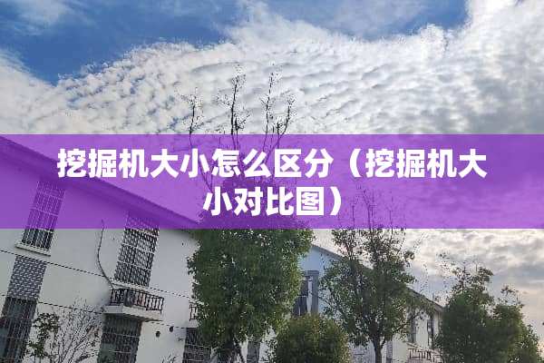 挖掘机大小怎么区分（挖掘机大小对比图）