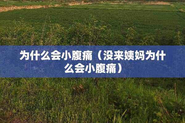 为什么会小腹痛（没来姨妈为什么会小腹痛）