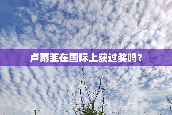 卢雨菲在国际上获过奖吗？