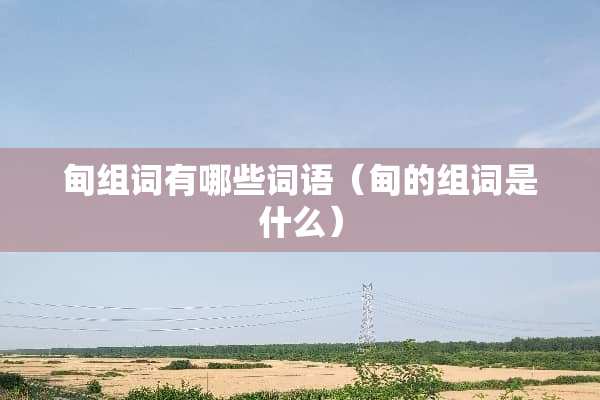 甸组词有哪些词语（甸的组词是什么）