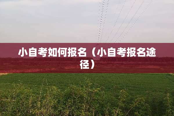小自考如何报名（小自考报名途径）