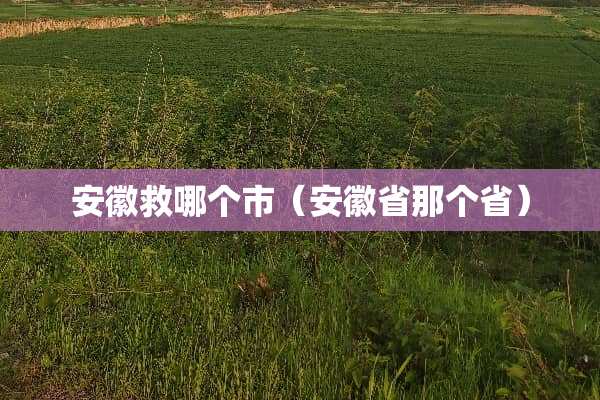 安徽救哪个市（安徽省那个省）