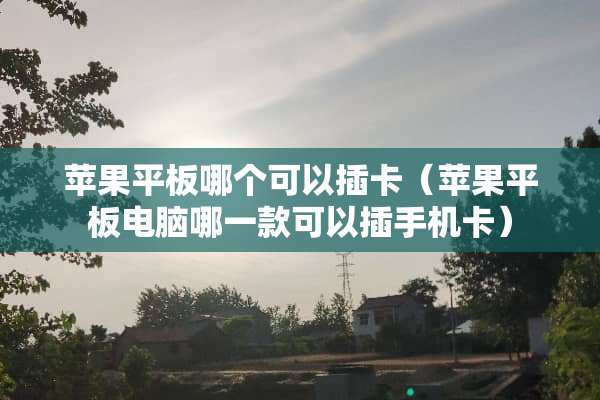 苹果平板哪个可以插卡（苹果平板电脑哪一款可以插手机卡）