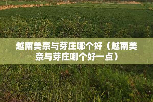 越南美奈与芽庄哪个好（越南美奈与芽庄哪个好一点）