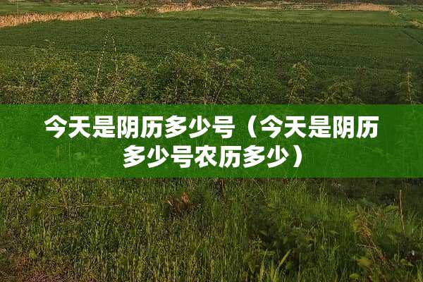 今天是*历多少号（今天是*历多少号农历多少）