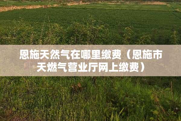 恩施天然气在哪里缴费（恩施市天燃气营业厅网上缴费）