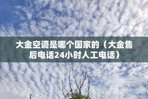 大金空调是哪个国家的（大金售后电话24小时人工电话）