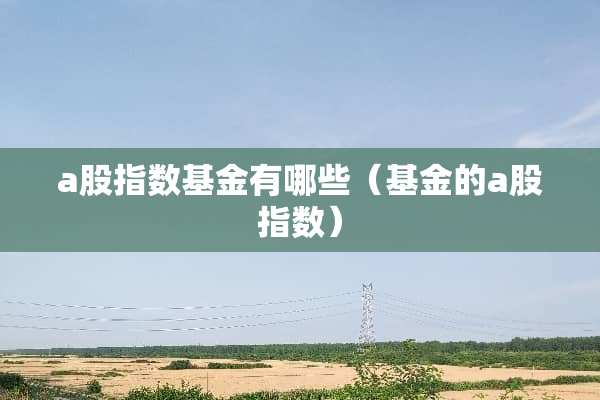 a股指数基金有哪些（基金的a股指数）