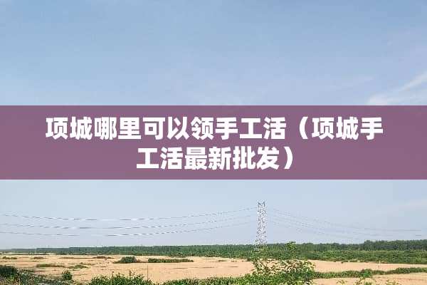项城哪里可以领手工活（项城手工活最新批发）