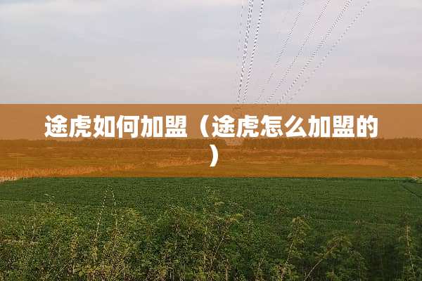 途虎如何加盟（途虎怎么加盟的）