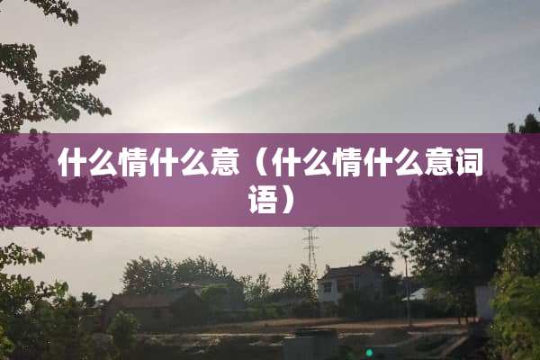 什么情什么意（什么情什么意词语）