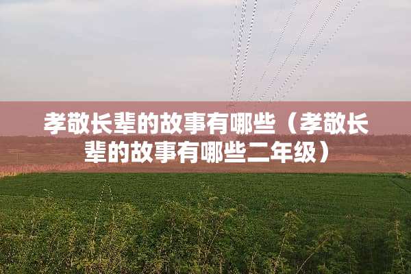 孝敬长辈的故事有哪些（孝敬长辈的故事有哪些二年级）