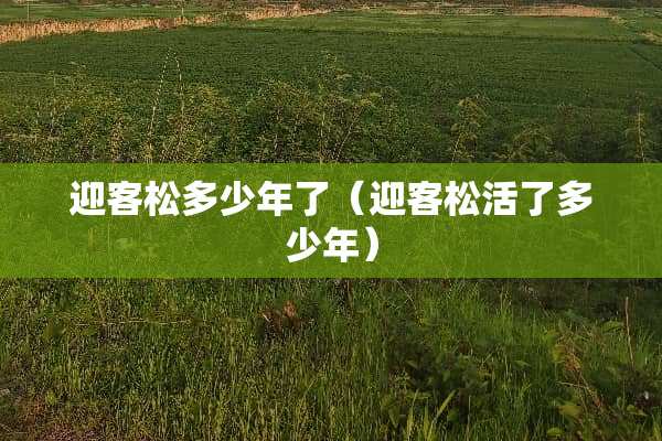 迎客松多少年了（迎客松活了多少年）