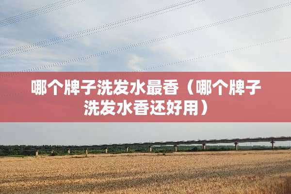 哪个牌子洗发水最香（哪个牌子洗发水香还好用）