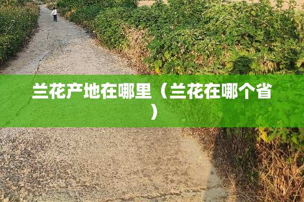 兰花产地在哪里（兰花在哪个省）