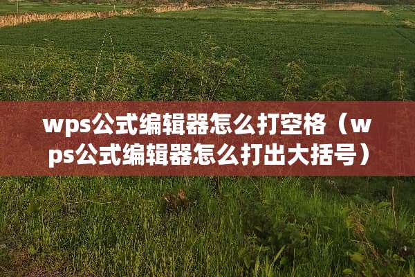 wps公式编辑器怎么打空格（wps公式编辑器怎么打出大括号）
