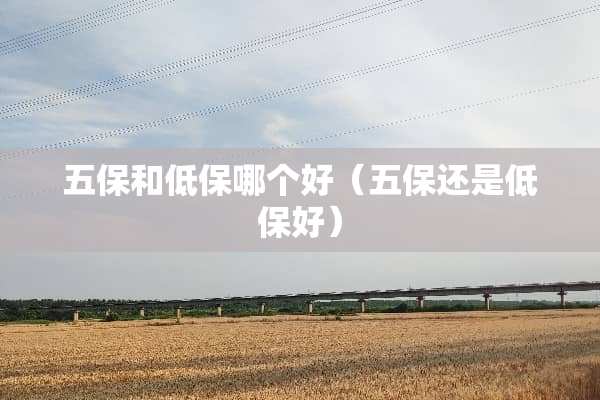 五保和低保哪个好（五保还是低保好）