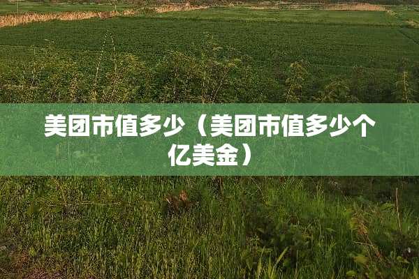 美团市值多少（美团市值多少个亿美金）