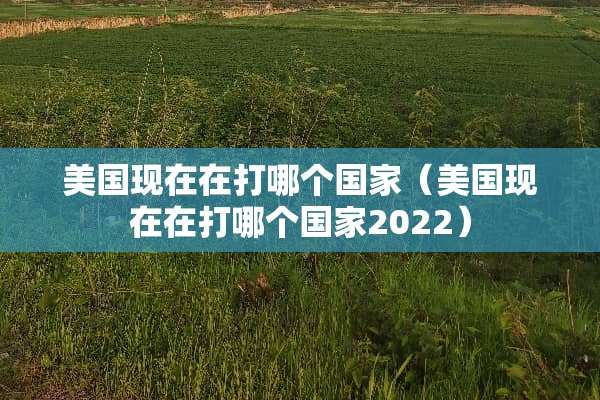 美国现在在打哪个国家（美国现在在打哪个国家2022）