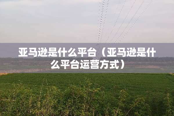 亚马逊是什么平台（亚马逊是什么平台运营方式）
