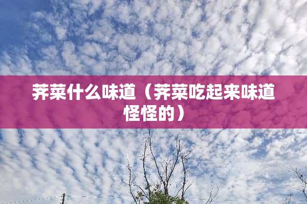 荠菜什么味道（荠菜吃起来味道怪怪的）