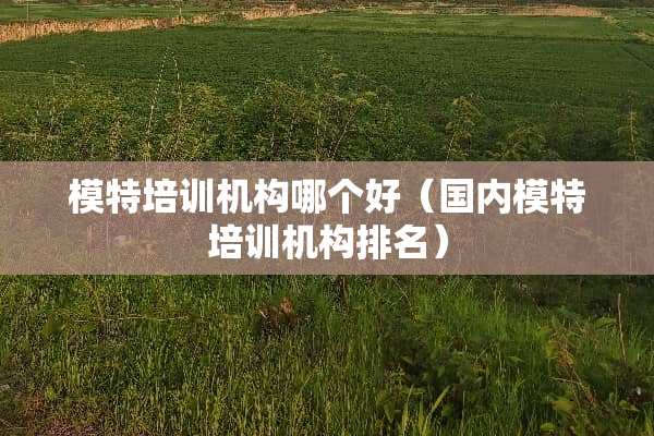 模特培训机构哪个好（国内模特培训机构排名）