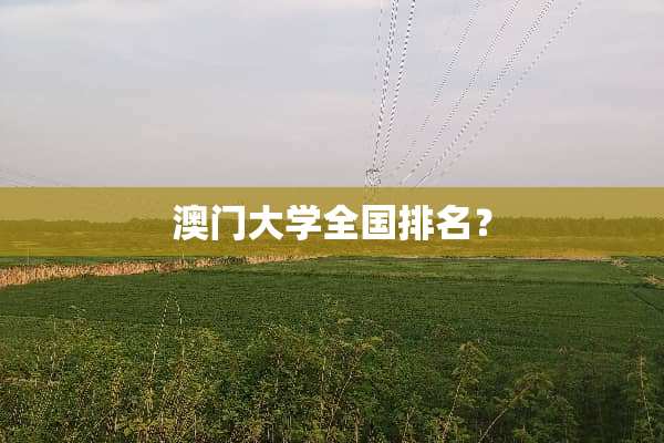 **大学全国排名？