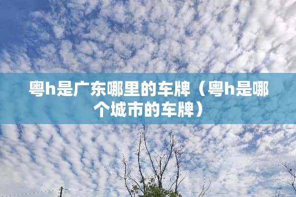粤h是广东哪里的车牌（粤h是哪个城市的车牌）