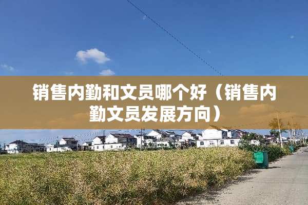 销售内勤和文员哪个好（销售内勤文员发展方向）