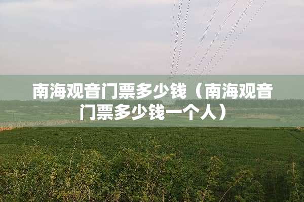 南海观音门票多少钱（南海观音门票多少钱一个人）