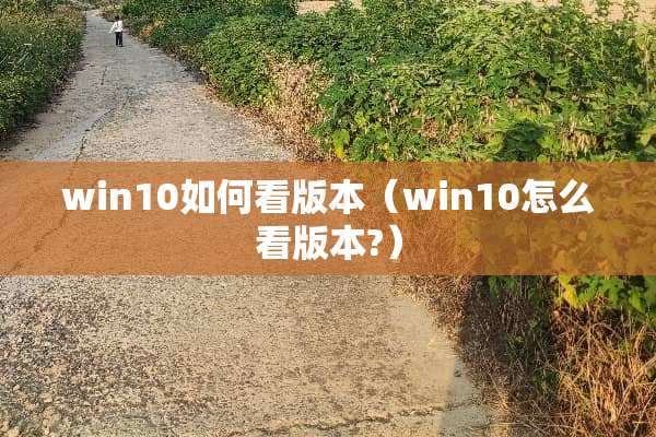 win10如何看版本（win10怎么看版本?）
