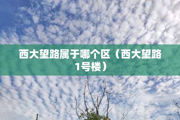西大望路属于哪个区（西大望路1号楼）